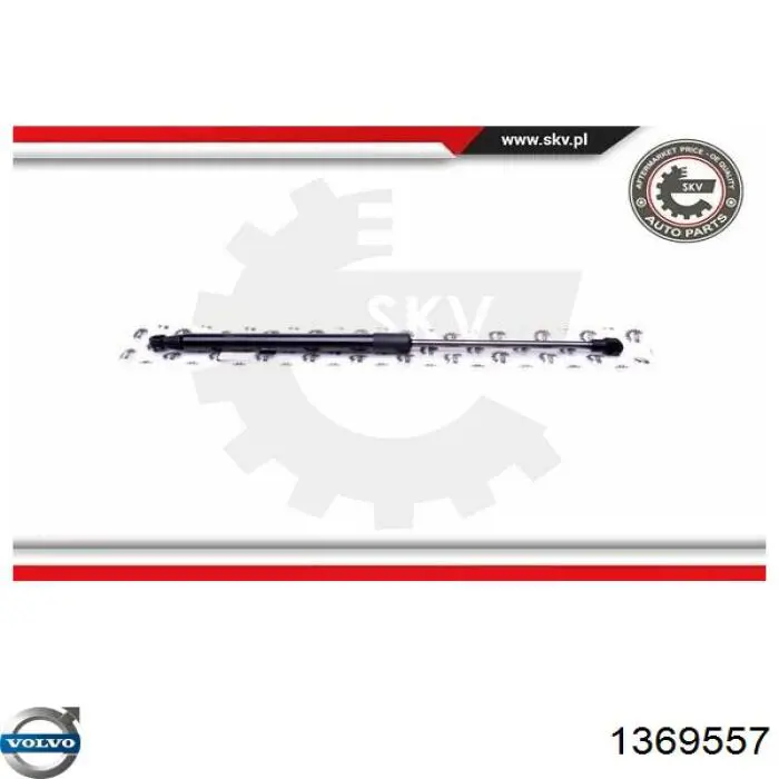 1369557 Volvo 