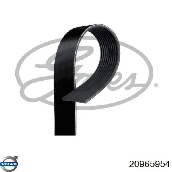 Клиновый ремень Gates 10PK1620HD цена, от 24.16 USD