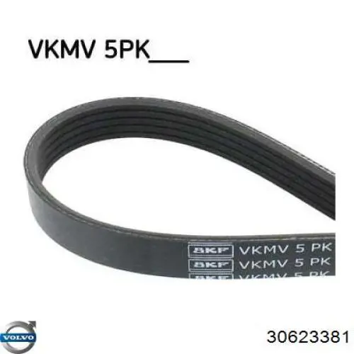 Купить 30623381 Volvo Ремень генератора