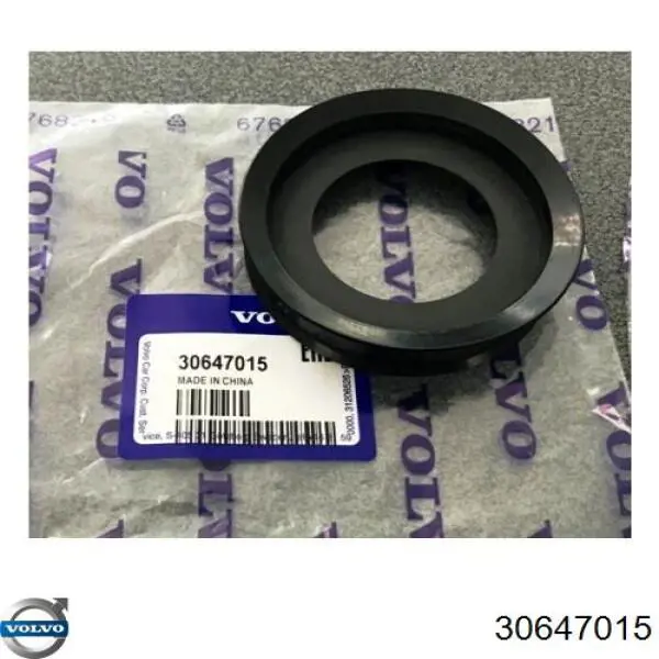 30647015 Volvo 