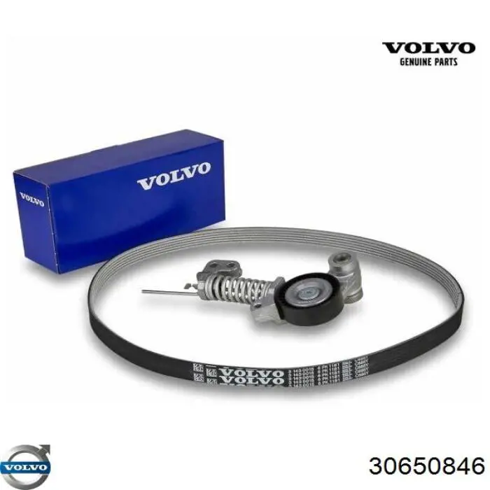 Купить 30650846 Volvo Ремень генератора