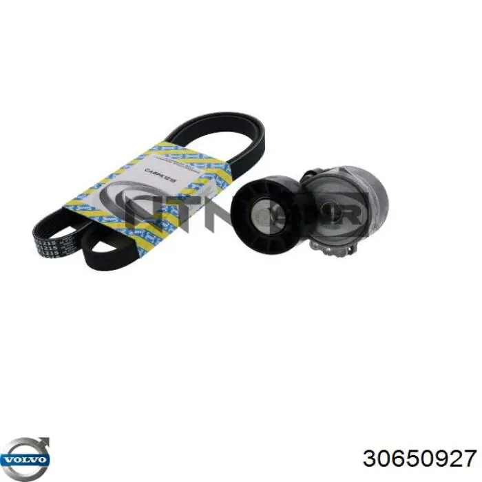 Роликовий модуль натяжителя ремня Volvo 30650927 цена, от 34.76 USD
