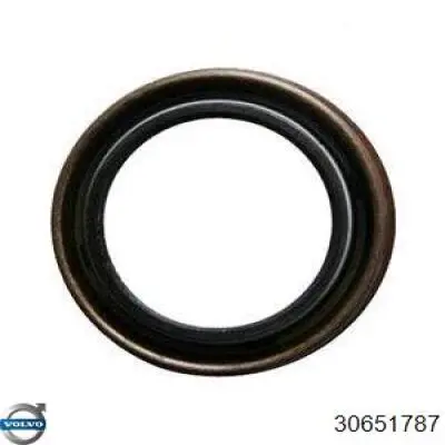 30651787 Volvo