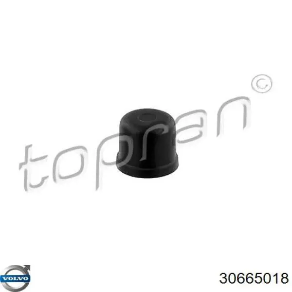  Volvo 30665018 цена, от 2.25 USD