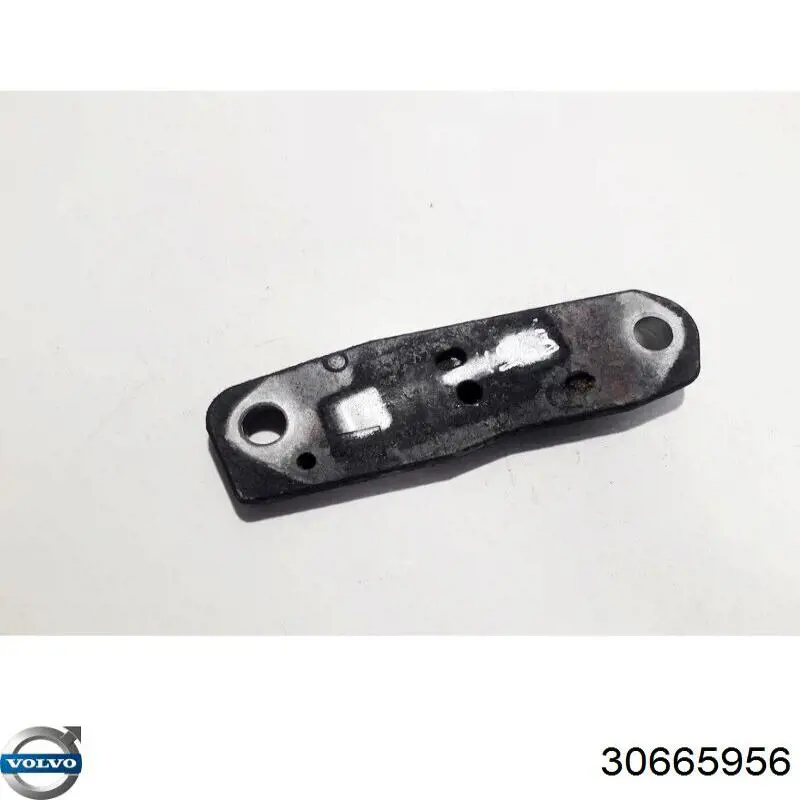 30665956 Volvo 