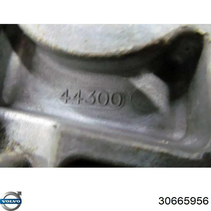 Купить 30665956 Volvo 