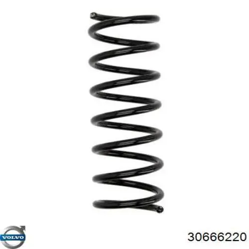 Купить 30666220 Volvo Пружина подвески