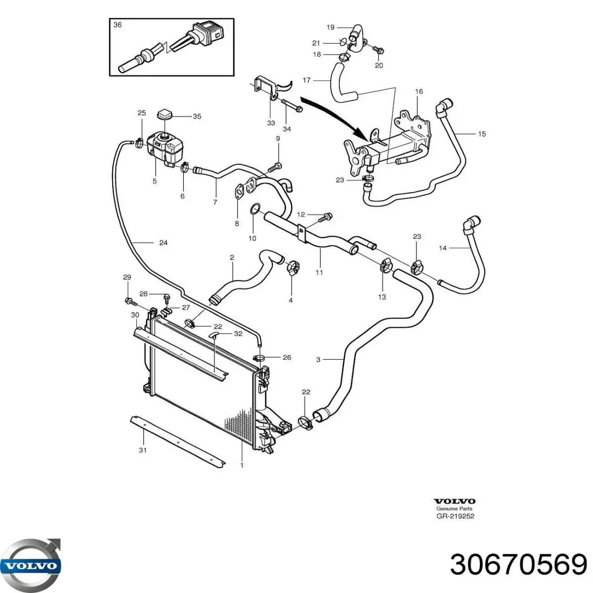 Купить 30670569 Volvo Уплотнительное кольцо, универсальное