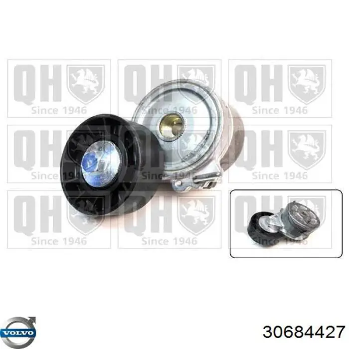 Роликовий модуль натяжителя ремня Volvo 30684427 цена, от 20.04 USD