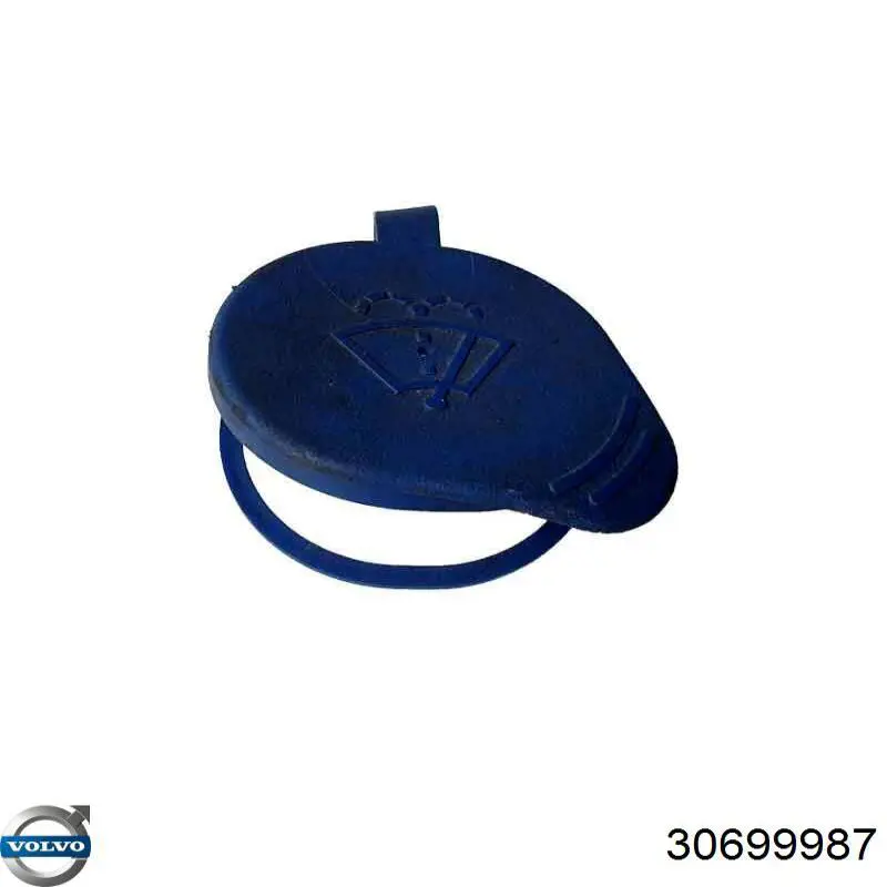 30699987 Volvo 