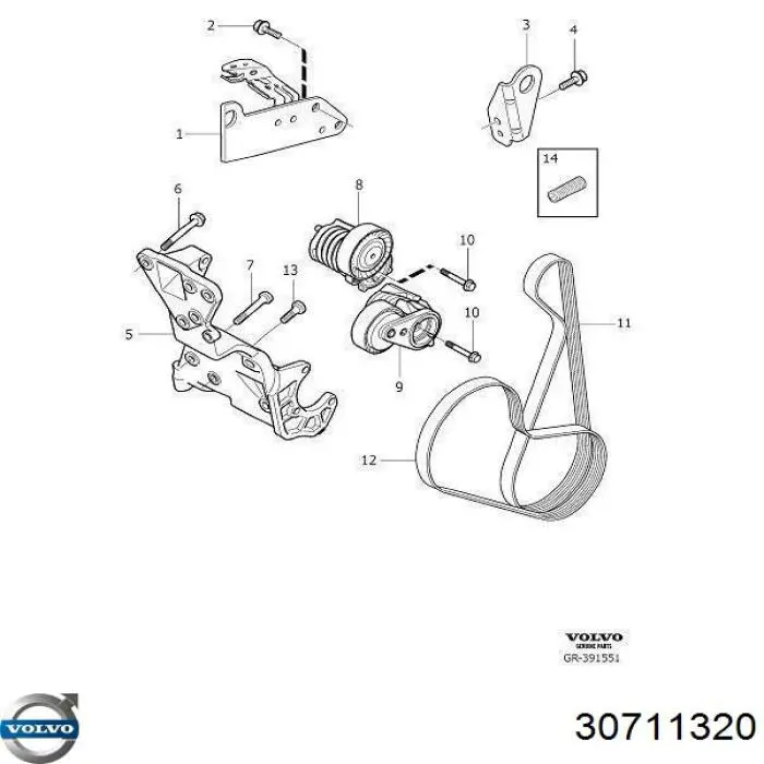 Натяжитель приводного ремня 30711320 Volvo