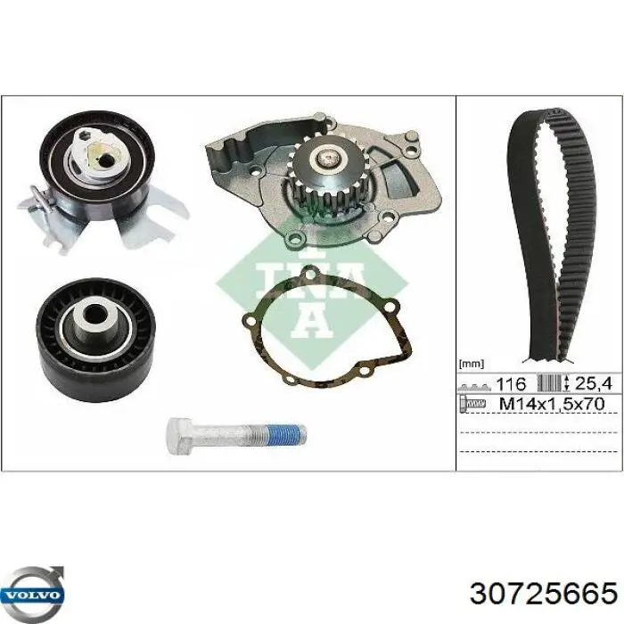 Ролик ремня ГРМ, паразитный Volvo 30725665