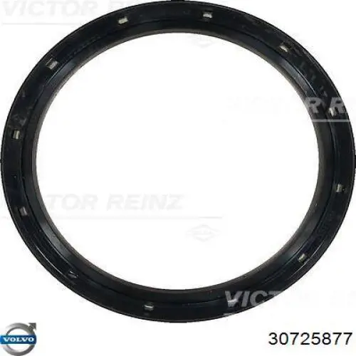 Купить 30725877 Volvo Сальник коленвала задний