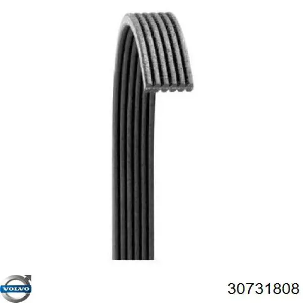 Купить 30731808 Volvo Ремень генератора