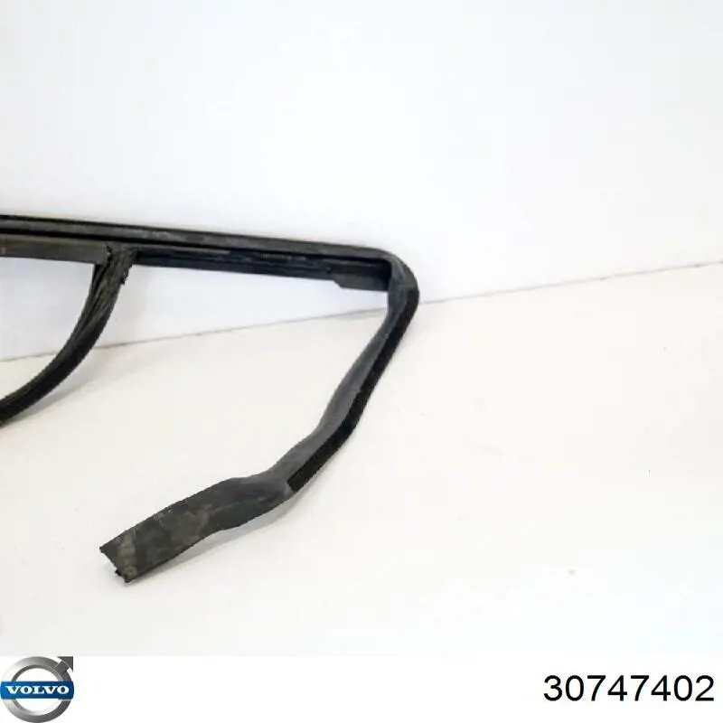 30747402 Volvo 