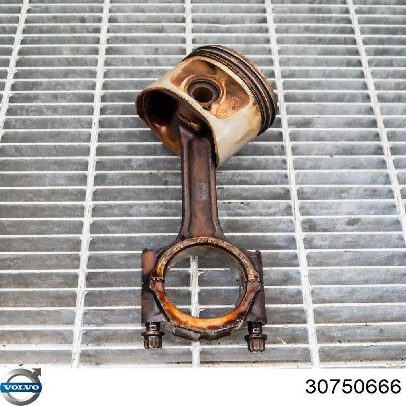 Купить 30750666 Volvo 