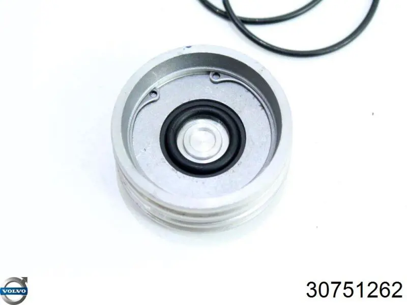  Volvo 30651771 цена, от 70.71 USD