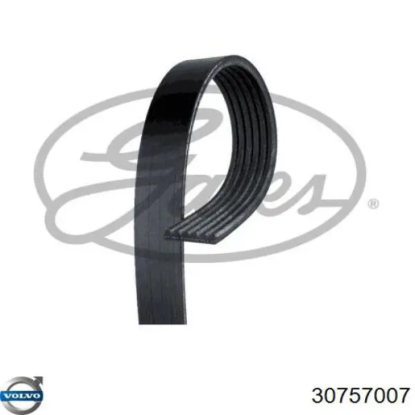 Купить 30757007 Volvo Ремень генератора