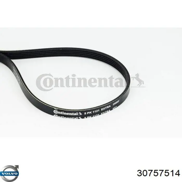 Клиновый ремень Volvo 30757514 цена, от 17.11 USD