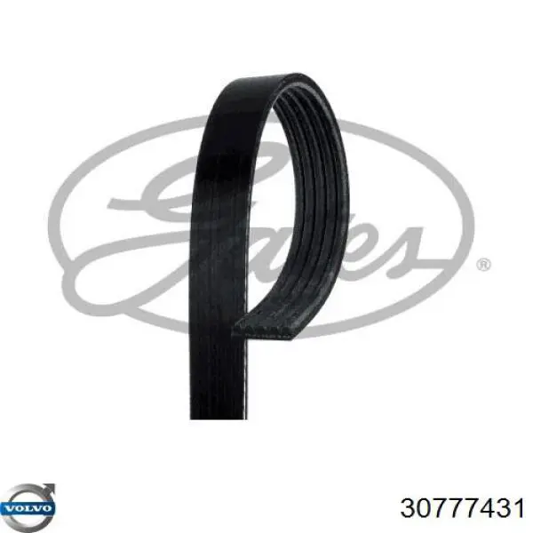 Купить 30777431 Volvo Ремень генератора