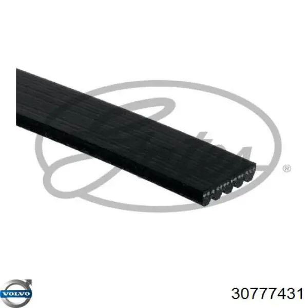 Клиновый ремень Volvo 30777431 цена, от 33.98 USD