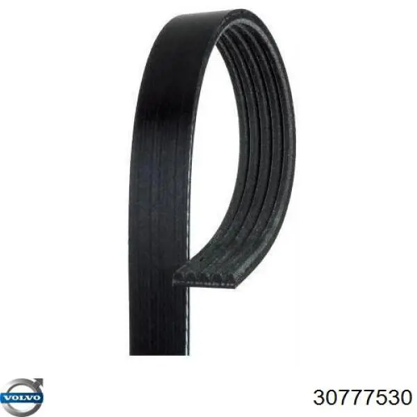 Клиновый ремень Volvo 30777530 цена, от 5.78 USD