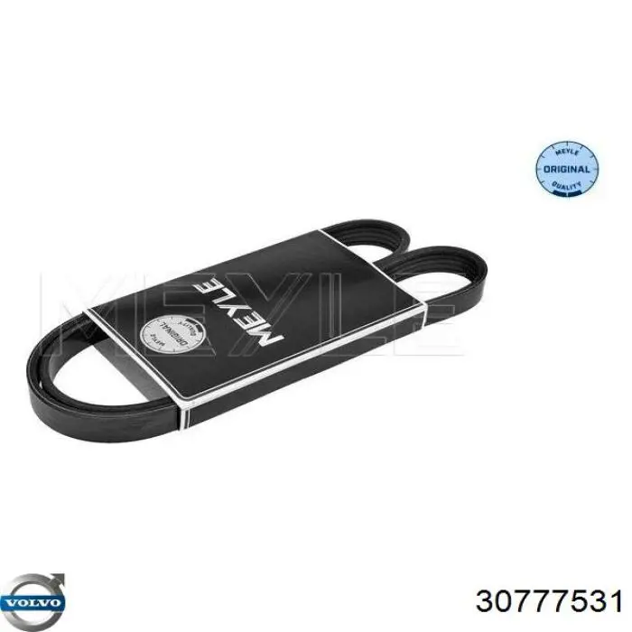 Купить 30777531 Volvo Ремень генератора