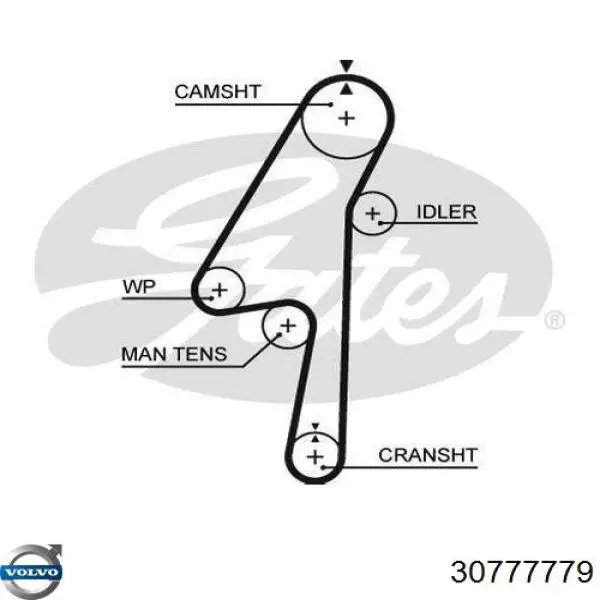 30777779 Volvo correia do mecanismo de distribuição de gás
