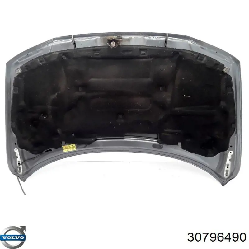 Капот 906003 Polcar