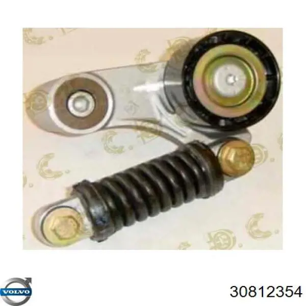 Роликовий модуль натяжителя ремня Volvo 30812354 цена, от 180.01 USD