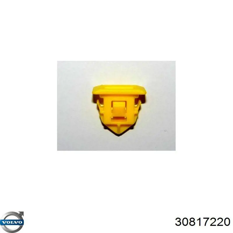 Купить T68010 Signeda 