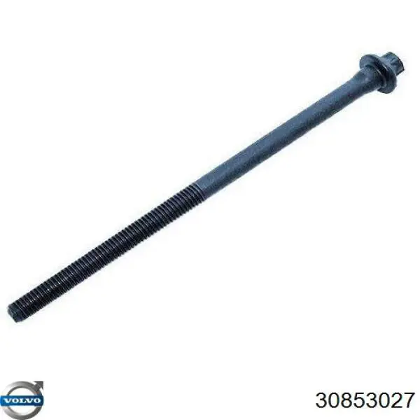 Болт головки блока цилиндров, ГБЦ Volvo 30853027 цена, от 3.20 USD