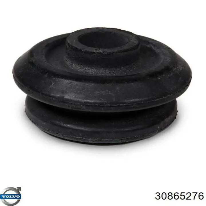 30865276 Volvo 