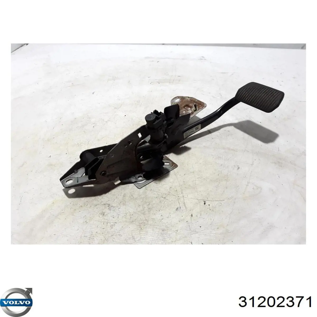 Купить 31341385 Volvo 