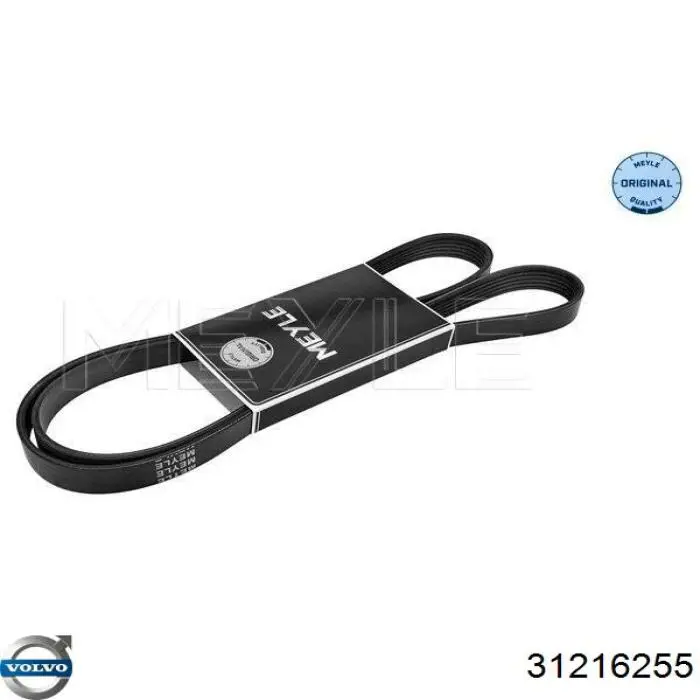 Купить 31216255 Volvo Ремень генератора