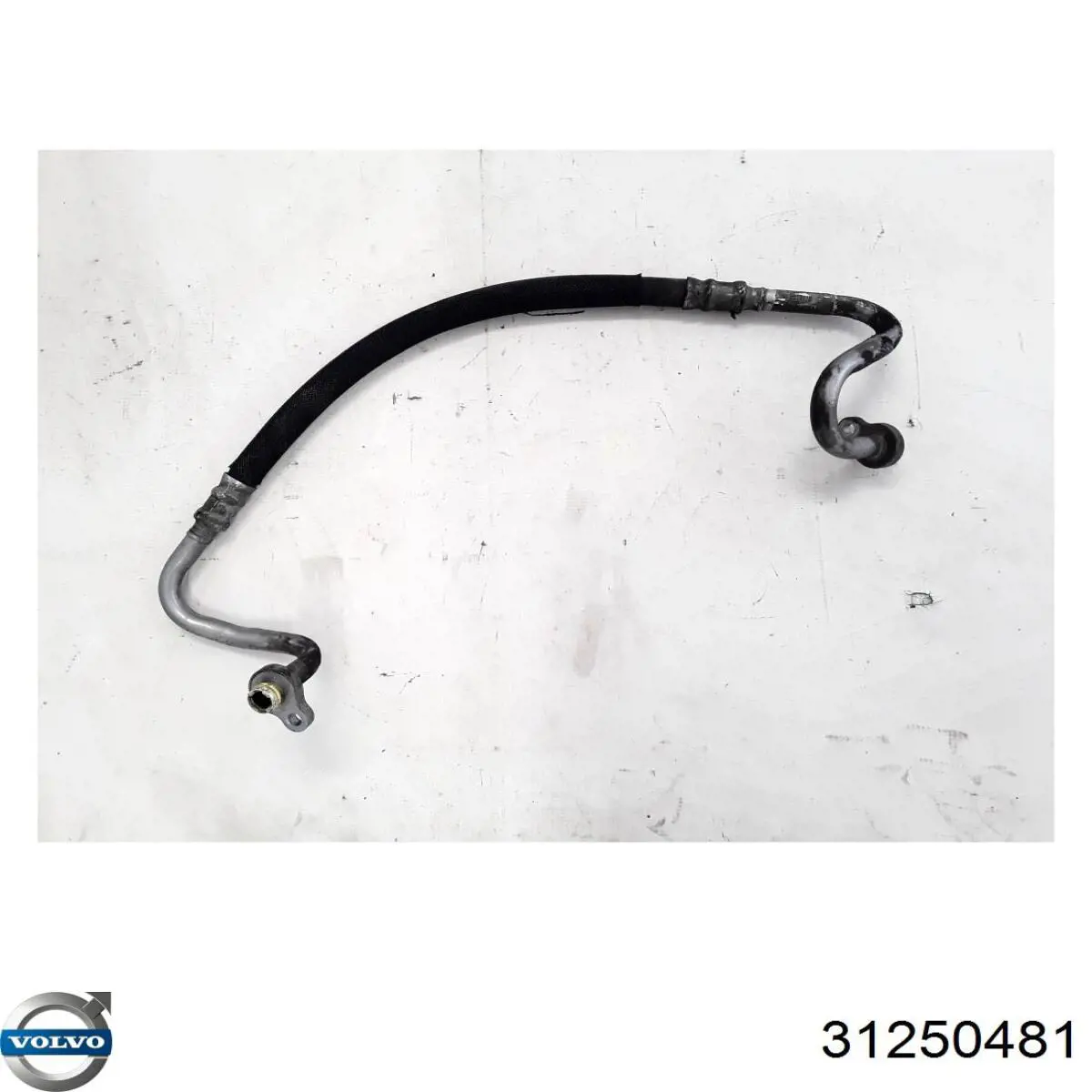  31250481 Volvo
