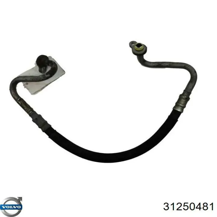 31250481 Volvo 