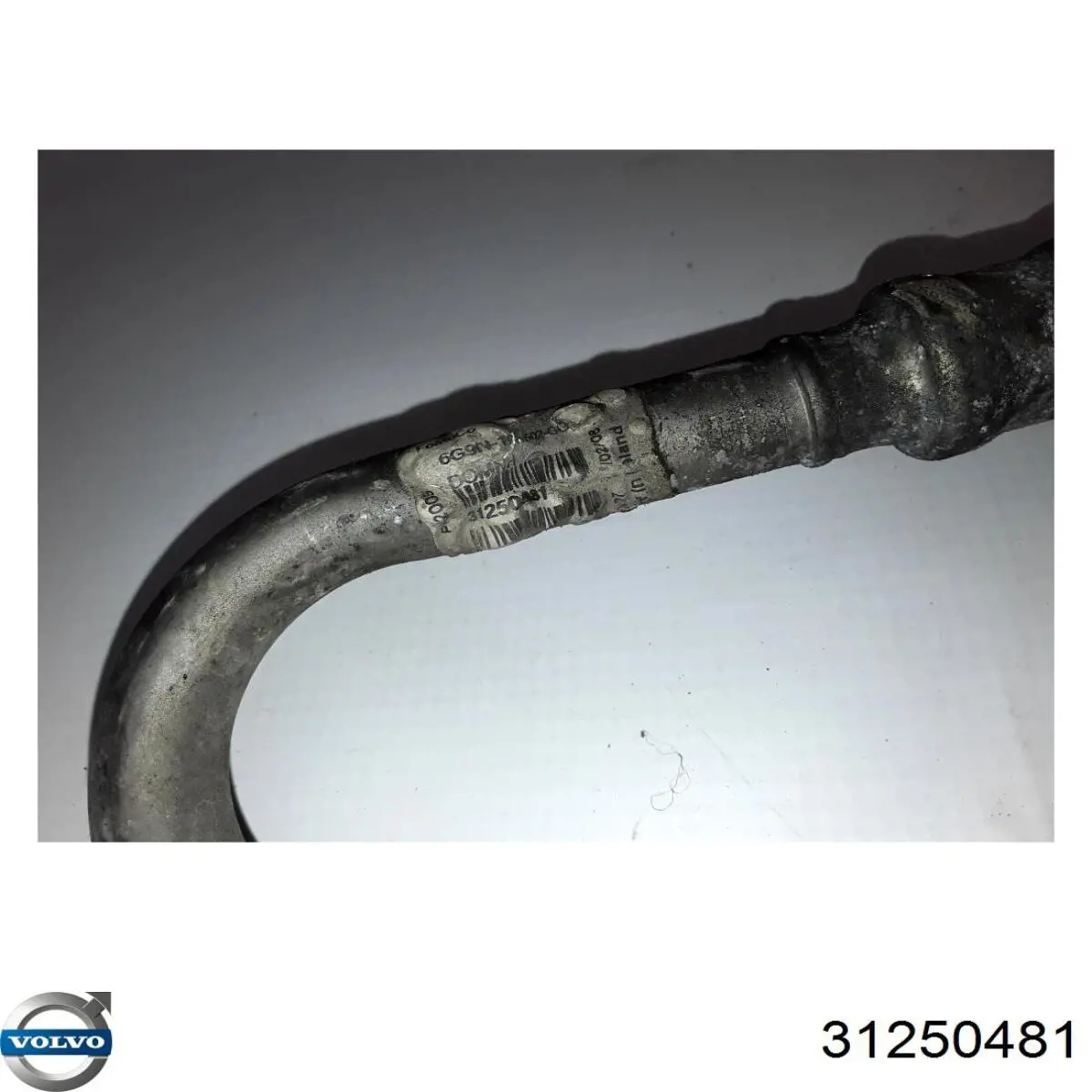  Volvo 31250481 цена, от 21.70 USD