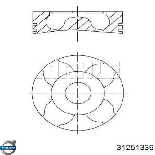  Volvo 31251339 цена, от 19.00 USD