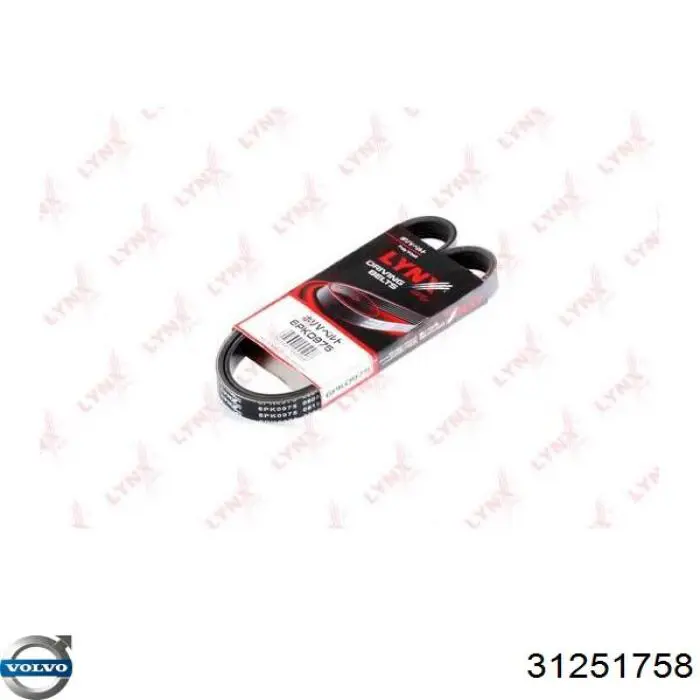 Клиновый ремень Volvo 31251758 цена, от 9.21 USD