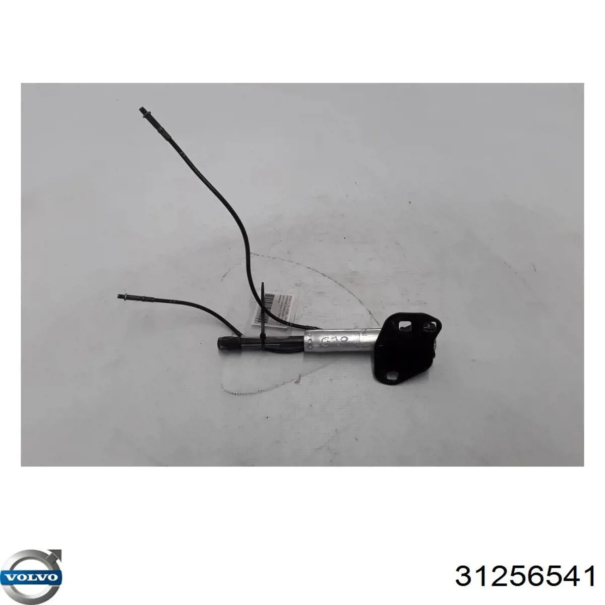 31256541 Volvo 