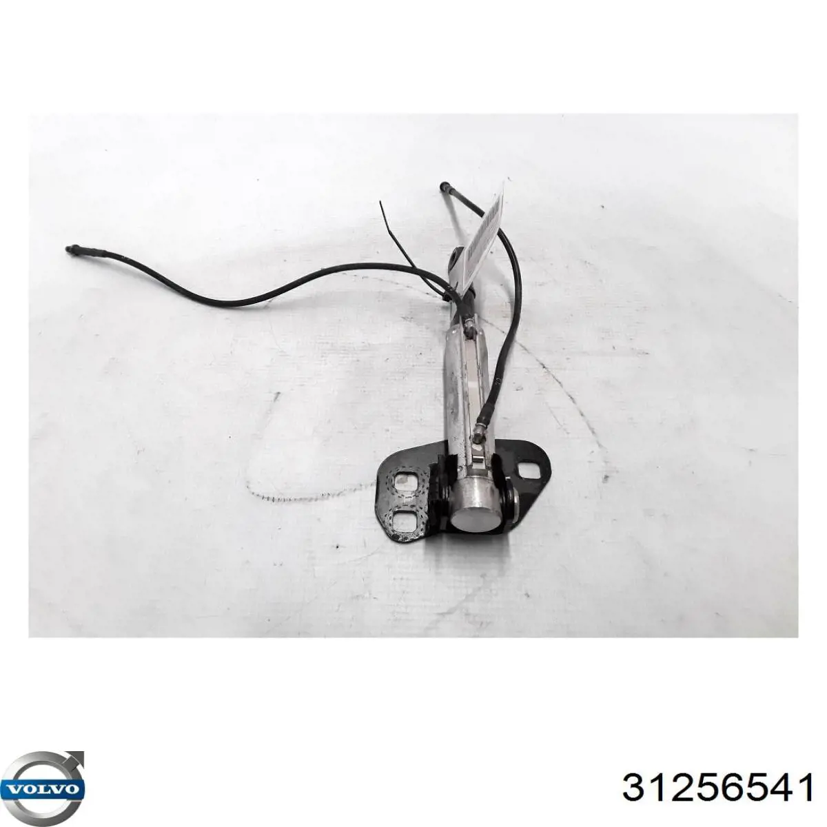  Volvo 31256541 цена, от 2243.32 USD