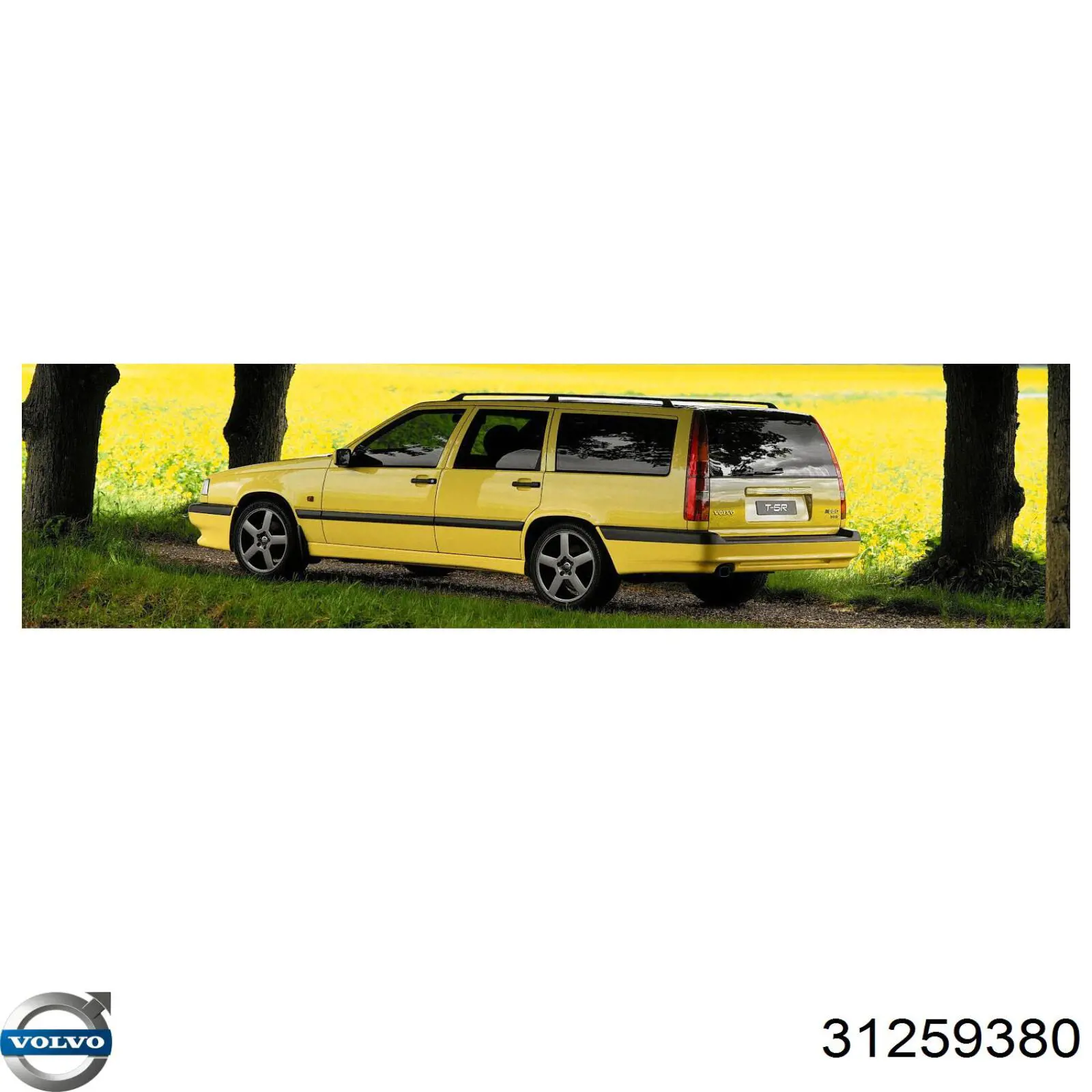 Купить 31259380 Volvo Масло АКПП