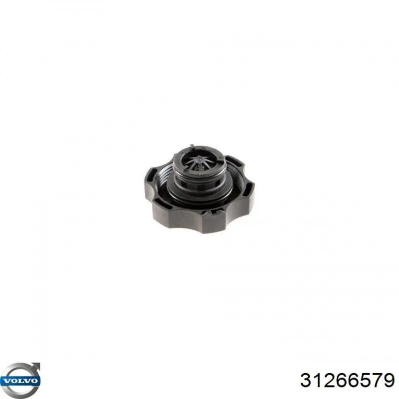 31266579 Volvo