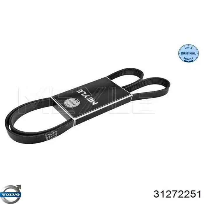 Купить 31272251 Volvo Ремень генератора