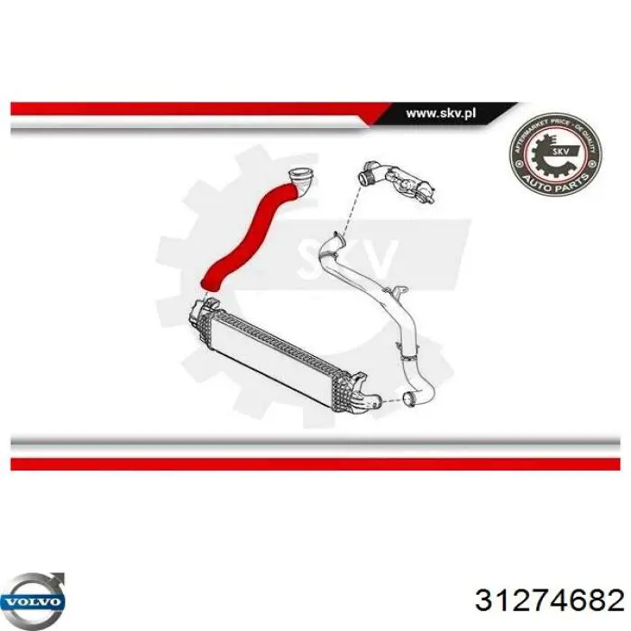  Thermotec DCV062TT цена, от 23.42 USD