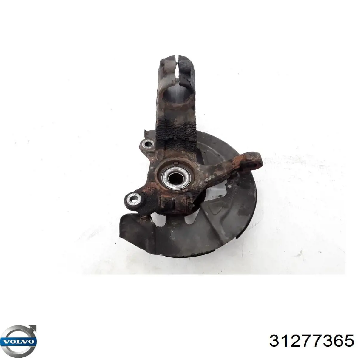 Цапфа (поворотный кулак) передний правый Volvo 31277365 цена, от 126.69 USD