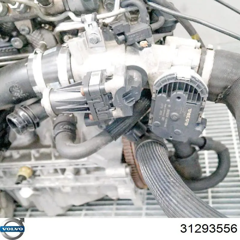 Корпус термостата 31293556 Volvo
