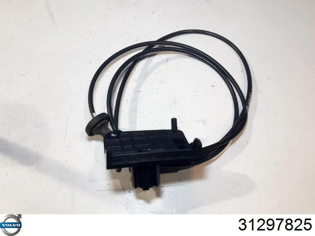 Купить 31297825 Volvo 