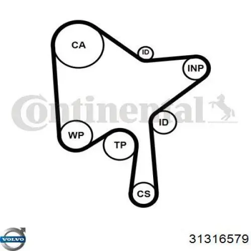 Купить 31316579 Volvo Ремень газораспределительного механизма